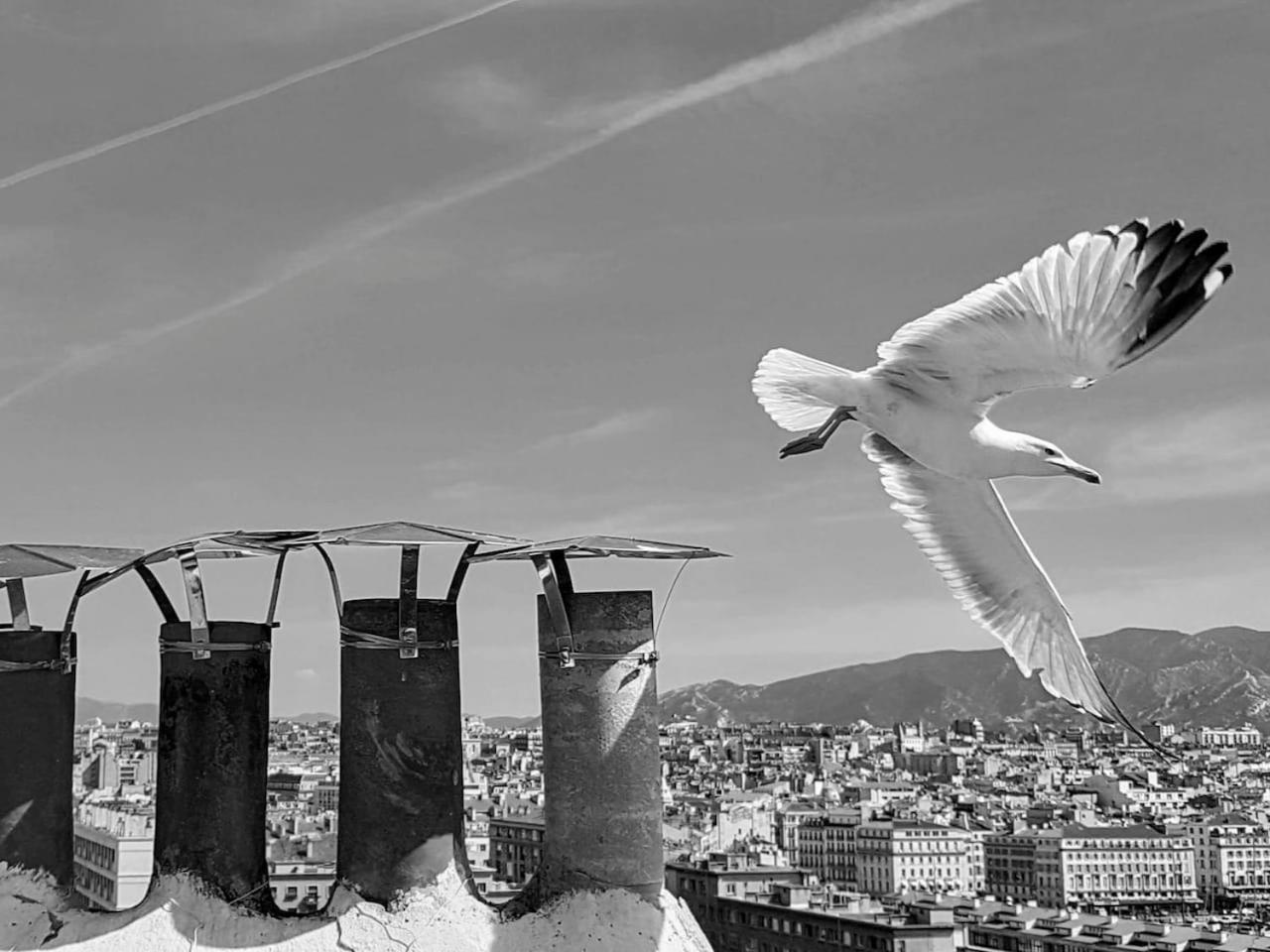 Superbe Appart, Central, Petit Balcon & Vue Place Marsilya Dış mekan fotoğraf